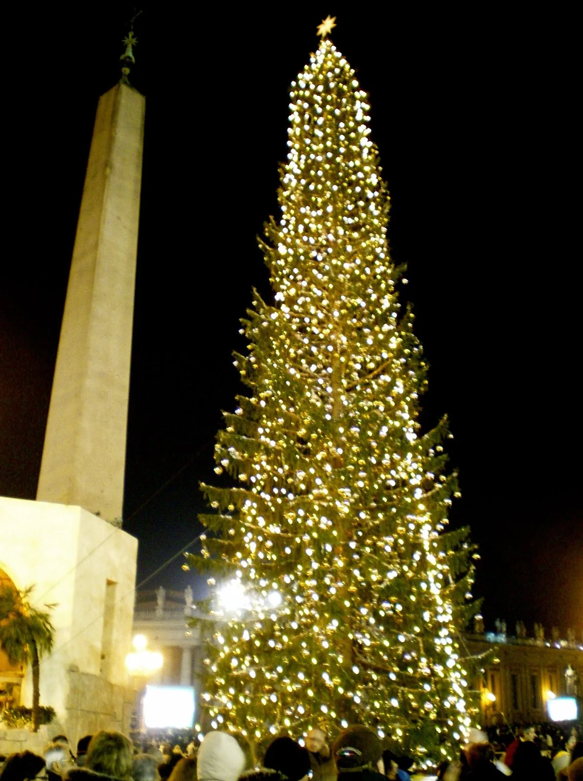 L'albero di Natale illuminato in Piazza San Pietro accanto all'obelisco